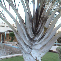 фото из отзыва ID 2095391