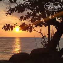 фото из отзыва ID 2095411