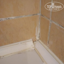 фото из отзыва ID 2095443