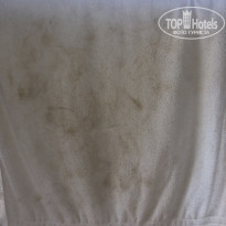 фото из отзыва ID 2095473