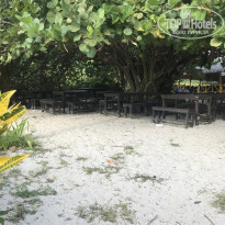 фото из отзыва ID 2095497