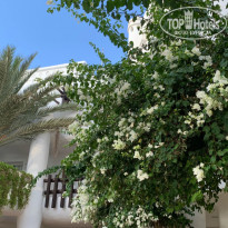 фото из отзыва ID 2095613