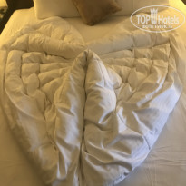 фото из отзыва ID 2095694