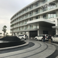 фото из отзыва ID 2095698