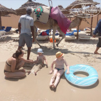 фото из отзыва ID 2093219