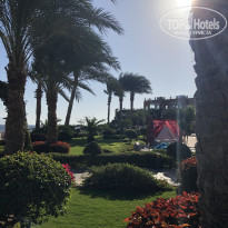 фото из отзыва ID 2095848