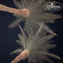 фото из отзыва ID 2095848