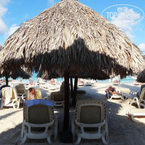 фото из отзыва ID 2095846