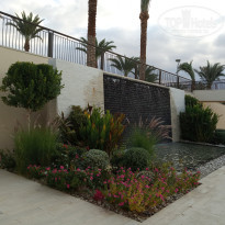 фото из отзыва ID 2095632