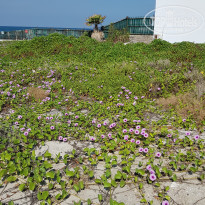 фото из отзыва ID 2095841