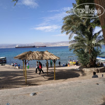 фото из отзыва ID 2095935