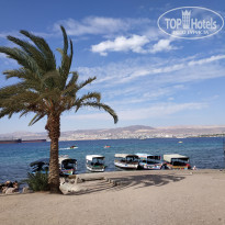 фото из отзыва ID 2095935