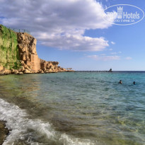 фото из отзыва ID 2095961