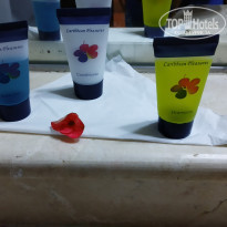 фото из отзыва ID 2095941