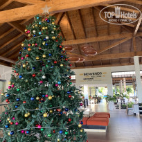 фото из отзыва ID 2095989