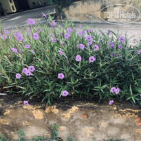 фото из отзыва ID 2096000