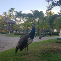 фото из отзыва ID 2096097