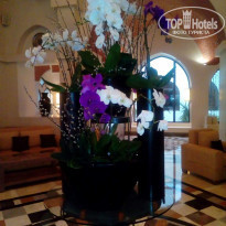 фото из отзыва ID 2096133