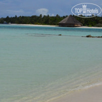 фото из отзыва ID 2096267