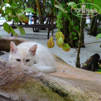 фото из отзыва ID 2096267