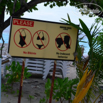 фото из отзыва ID 2096267