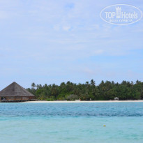 фото из отзыва ID 2096267