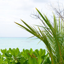 фото из отзыва ID 2096267