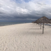 фото из отзыва ID 2096274