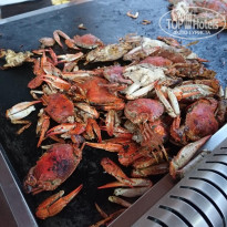 фото из отзыва ID 2096275