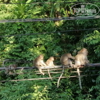 фото из отзыва ID 2096360