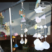 фото из отзыва ID 2096358