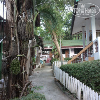 фото из отзыва ID 2096358