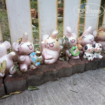 фото из отзыва ID 2096358