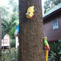 фото из отзыва ID 2096358