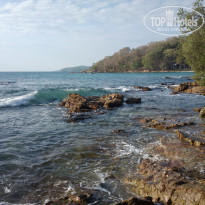 фото из отзыва ID 2096358