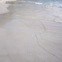 фото из отзыва ID 2096358