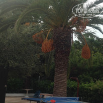 фото из отзыва ID 2096480