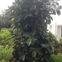 фото из отзыва ID 2096480