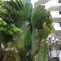 фото из отзыва ID 2096490