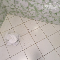 фото из отзыва ID 2096514