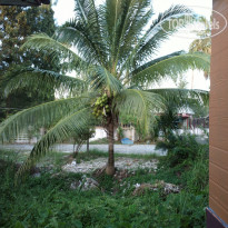 фото из отзыва ID 2096556