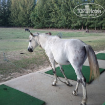 фото из отзыва ID 2096556