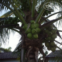 фото из отзыва ID 2096556