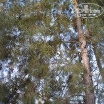 фото из отзыва ID 2096556