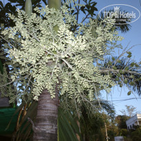 фото из отзыва ID 2096556