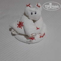 фото из отзыва ID 2096665