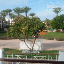 фото из отзыва ID 2096711