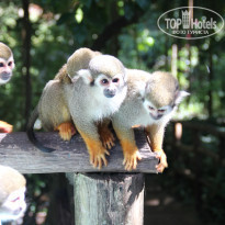 фото из отзыва ID 2096716