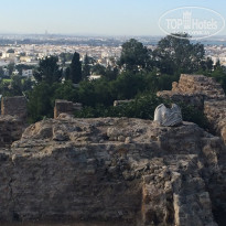 фото из отзыва ID 2096723