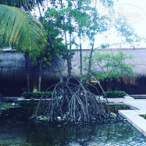 фото из отзыва ID 2096717